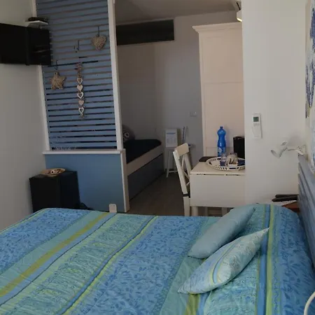 Cade Ventu 베르나차