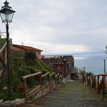 Cade Ventu Vernazza