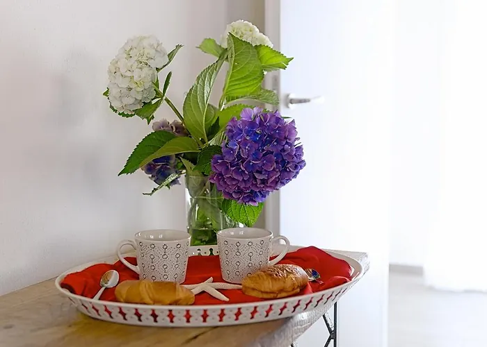 게스트하우스 Cade Ventu 3*