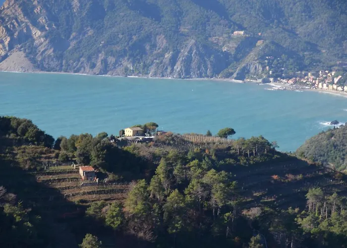 Cade Ventu 게스트하우스 3*